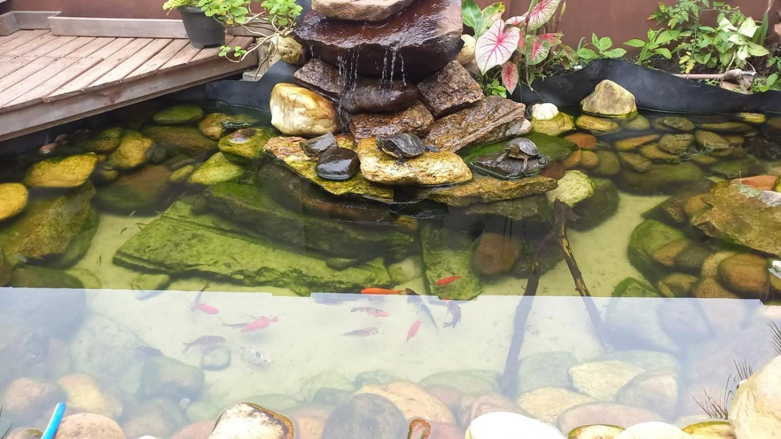 Pousada Vo Lica Com Piscina Penha  Dış mekan fotoğraf